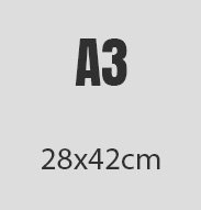 A3